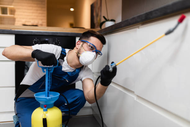 Best Emergency Pest Control  in Billings, MT