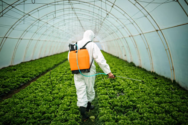 Best Residential Pest Control  in Billings, MT