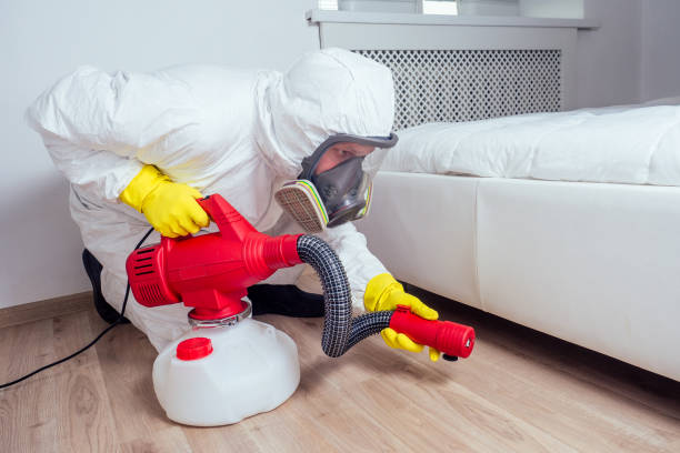 Best Affordable Pest Control Services  in Billings, MT