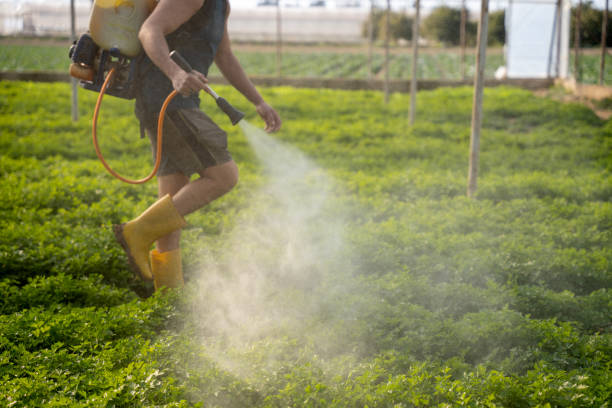 Best Mosquito Control Services  in Billings, MT