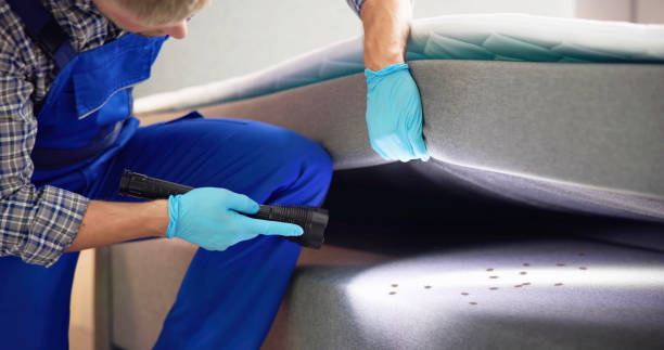 Best Pest Control Near Me in Billings, MT