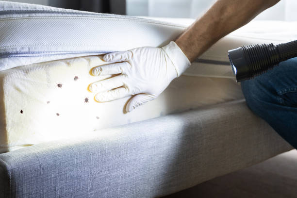 Best Bed Bug Extermination  in Billings, MT