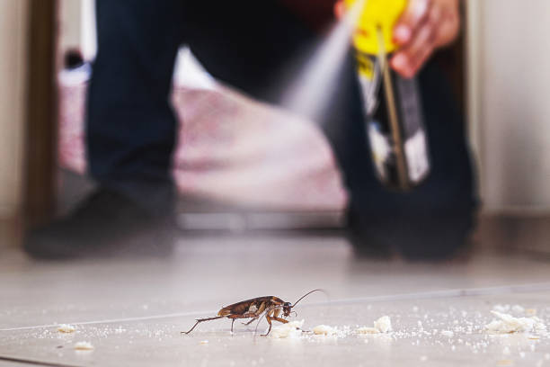 Best Best Pest Control Companies  in Billings, MT