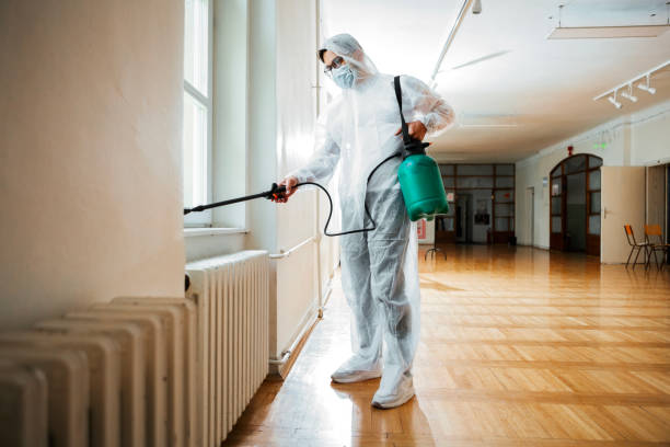 Best Flea Control Services  in Billings, MT
