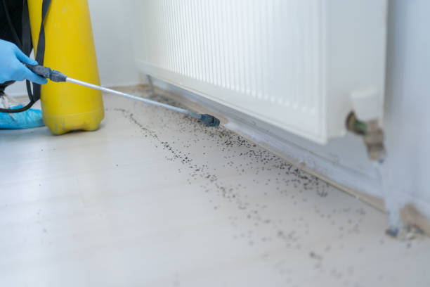 Best Pest Inspection Near Me  in Billings, MT