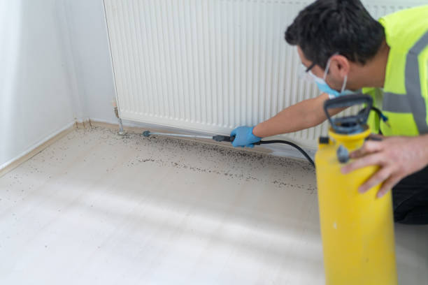 Best Insect Control  in Billings, MT